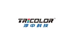 淳中科技半年报