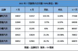 新能源汽车品牌零跑的安全排名解析
