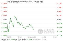 新能源基金最近表现不好