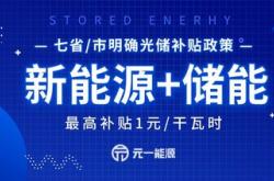 政府新能源补贴政策