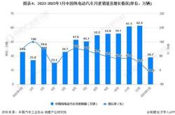 2024年新能源汽车交付统计表