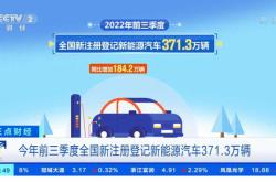 新注册登记新能源汽车数量