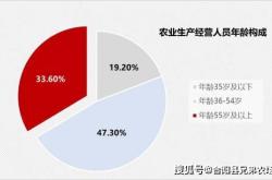 如本科技招聘