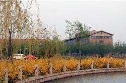 山东科技职业学院地址在哪个街道