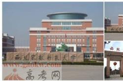 西北农林大学招生官网