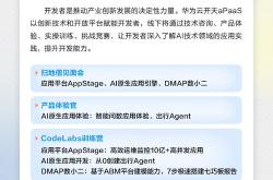 如何加速原生应用进程？华为云开天提出新范式