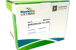 万类生物科技编辑助理