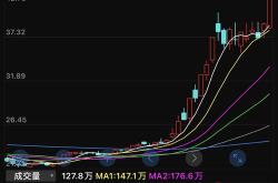 牛市科技股的表现