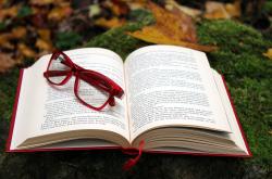 小学生文学常识宝典，必背知识点全解析