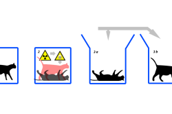 探索量子世界的奥秘，薛定谔的猫理论的通俗解释