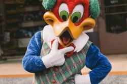 探索世界奇趣，热点趣事汇