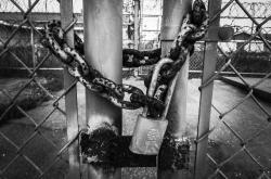 现实主义，深入理解与现代应用