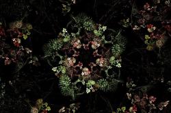 海棠之夜，一场梦幻般的花卉盛宴