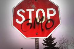 常识修改的世界，一场思想与文化的革命