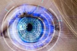 探索生活百科，视频讲解的艺术与科学