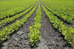 开启你的农业知识之旅，趣味农场百科手机版下载安装指南