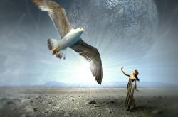 探索世界角落，实事趣闻的奇妙之旅