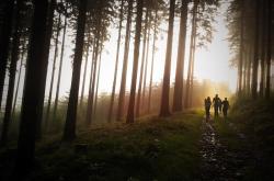 海棠花开，游戏世界里的诗意之旅