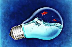 探索趣味，生活的色彩与活力之源