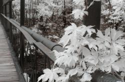 深入理解现实主义，艺术与生活的桥梁