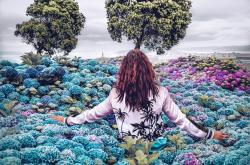 六年级生活百科，探索世界的奇妙之旅