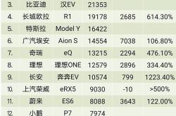 蓝海新能源汽车销量排名