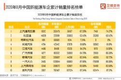 新能源车的排量怎么填写