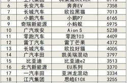 国内新能源厂商