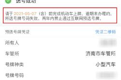 广州新能源汽车网上选号