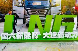 大运汽车新能源车辆系统服务平台