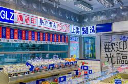 成都青本信息科技有限公司招聘
