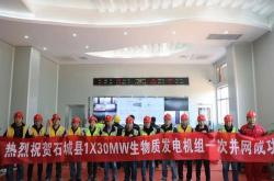 国电投新能源公司股东名单