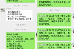 美团的财务韧性账上现金与新故事的延续