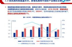 山东跨境电商借道出海新模式下的市场拓展见闻