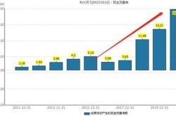 滴滴出行盈利后的战略反攻与市场补贴再启