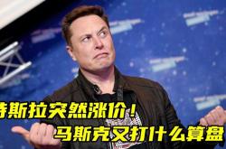 远光下的博弈马斯克与推特的收购风波