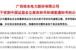 证通电子遭立案调查股民索赔前景与法律分析