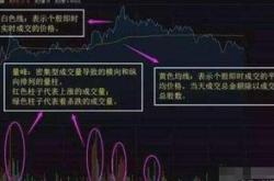 实习生必读职场平等参与与政策变革的洞察