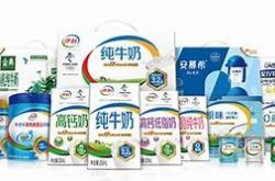 伊利的国际市场