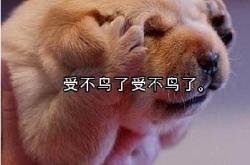 淘宝转型成功船大也能灵活掉头