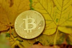 深度解析，揭秘证金贵金属投资有限公司——投资理财的新选择