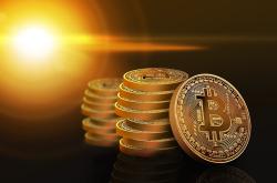 揭秘！2022年普洱茶七子饼价格走势与品质鉴别全指南