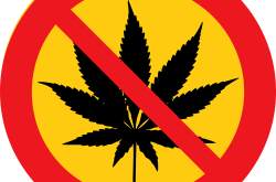 学校禁止学生自带牛奶，背后的原因与影响