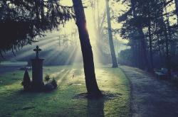 梦境与现实的交响，解读同学死亡的潜意识暗示