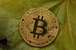 揭秘黄金市场风云变幻，实时行情解析与投资攻略