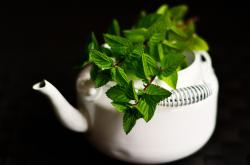 茶韵悠长，品味生活，深度解析铁观音茶具的艺术与魅力