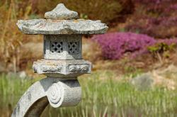 揭秘土字的多元含义，从古至今的文化探索