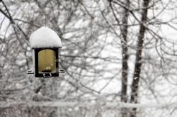 暴雨大暴雪近期将罕见同框