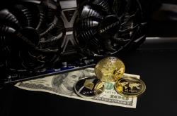 大连新发现一具完整的犀牛头骨化石