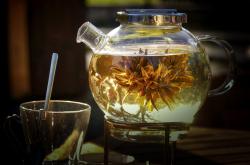 养生秘籍菊花决明子茶的神奇功效与全面解析